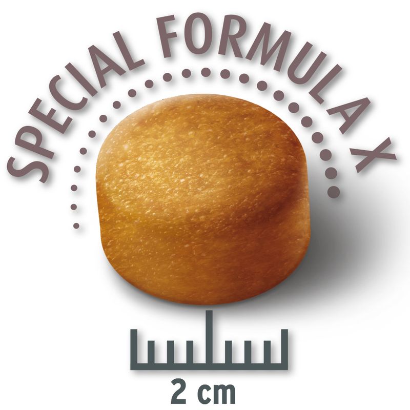 Concept for Life Economy Packs Labrador Sterilised (2 x 12kg)