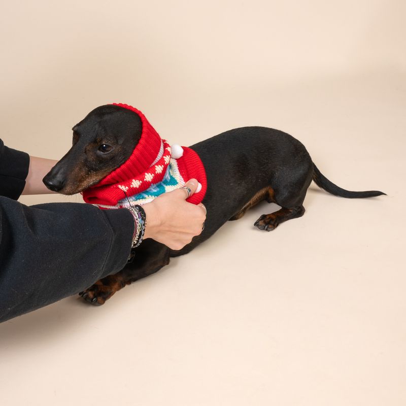 TIAKI Winter Dog Jumper Size M: approx. 30.5cm Back Length