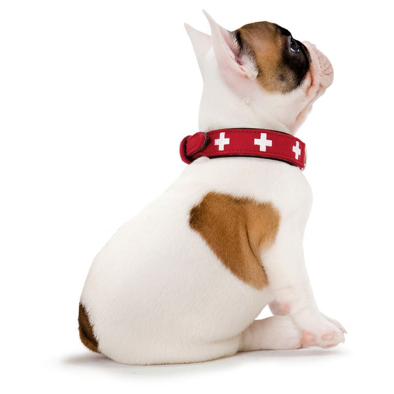 HUNTER Swiss Dog Collar Size 55