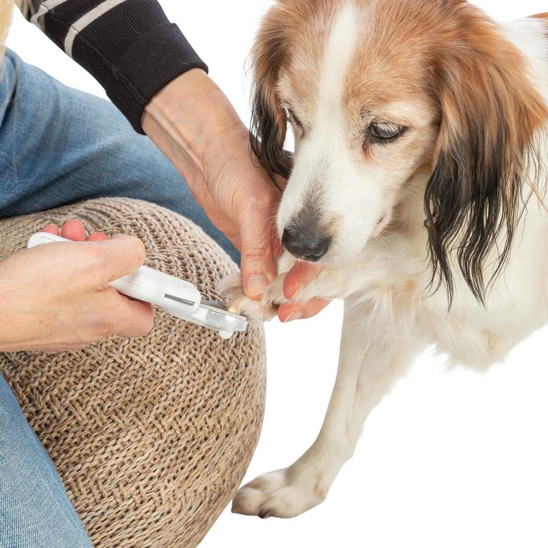 Trixie Claw Scissors with LED Light Size: 15cm