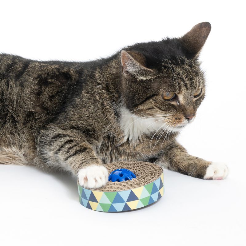 zooplus Basics Spin & Scratch Cat Toy diameter 10 x (H) 4 cm