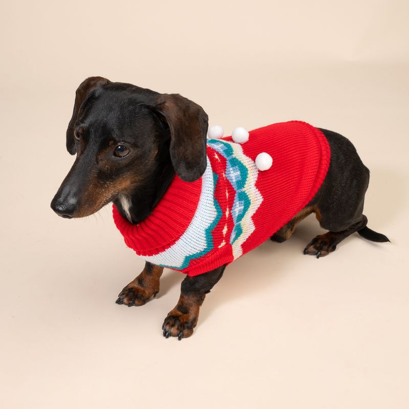 TIAKI Winter Dog Jumper Size M: approx. 30.5cm Back Length
