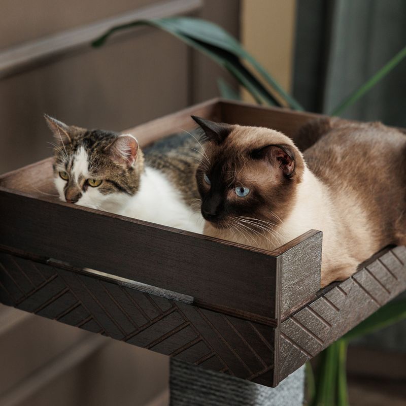 Modern Living Fergana scratching post dark brown / grey