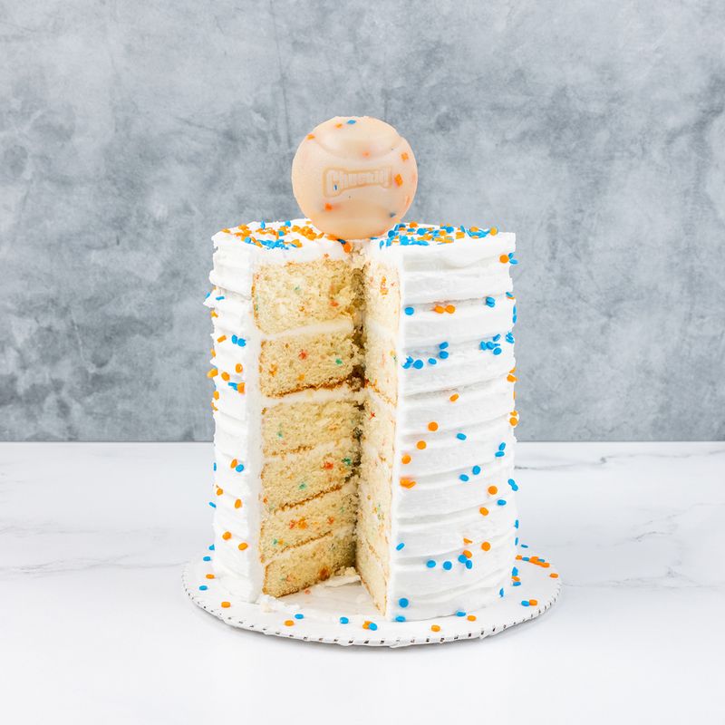 Chuckit! Birthday Fetch Ball 6.5 cm (W)