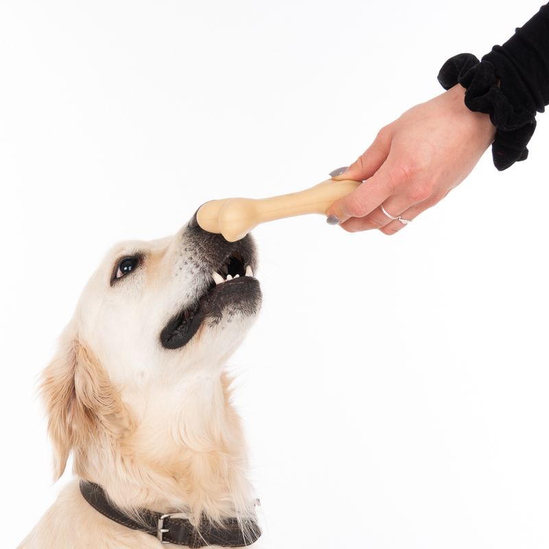 TIAKI Rubber Bone Dog Toy 15 x 4.5 x 3.5cm (L x W x H)