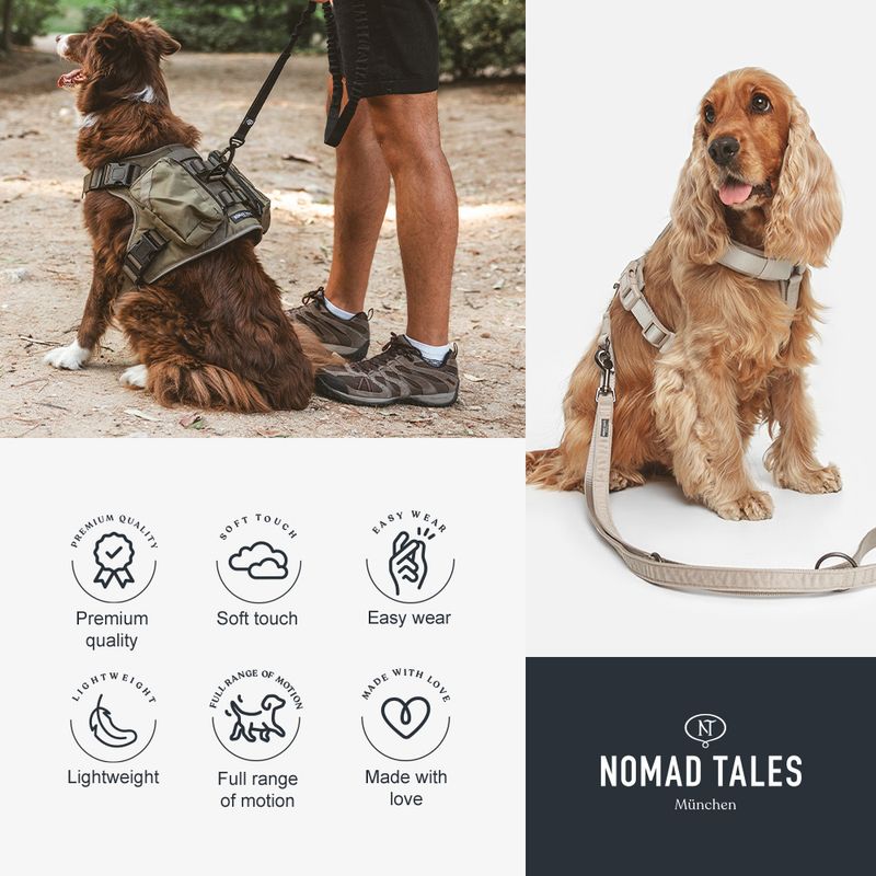 Nomad Tales Spirit Padded Collar Size M: 47 - 51 cm Length, 25mm Width