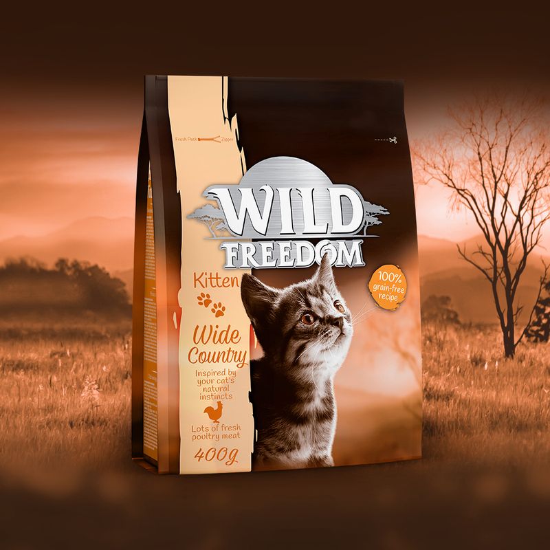 Wild Freedom Kitten \
