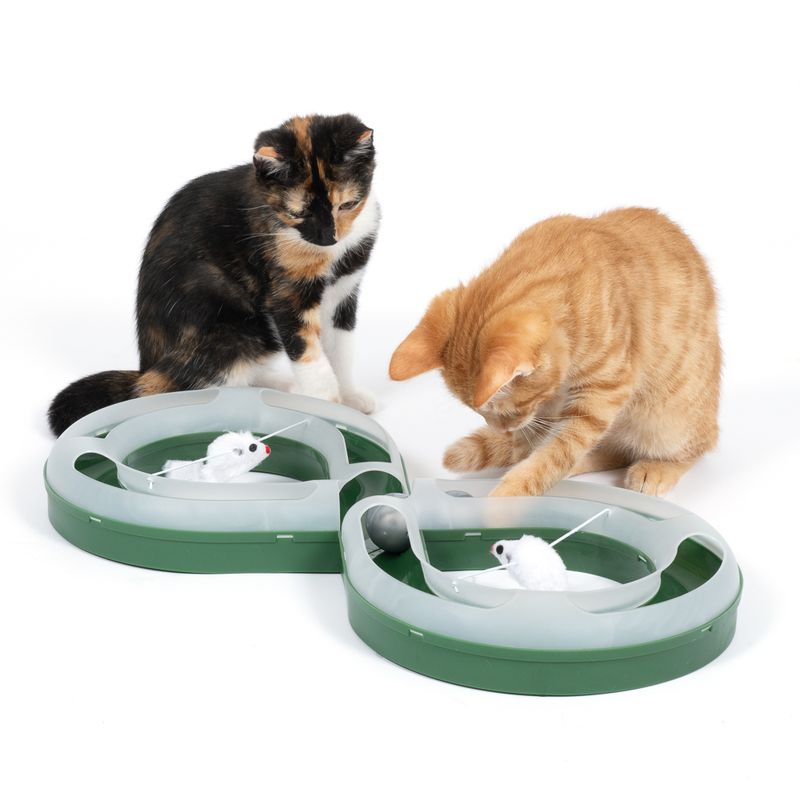 TIAKI Ball Track with Mice Cat Toy 1 Toy
