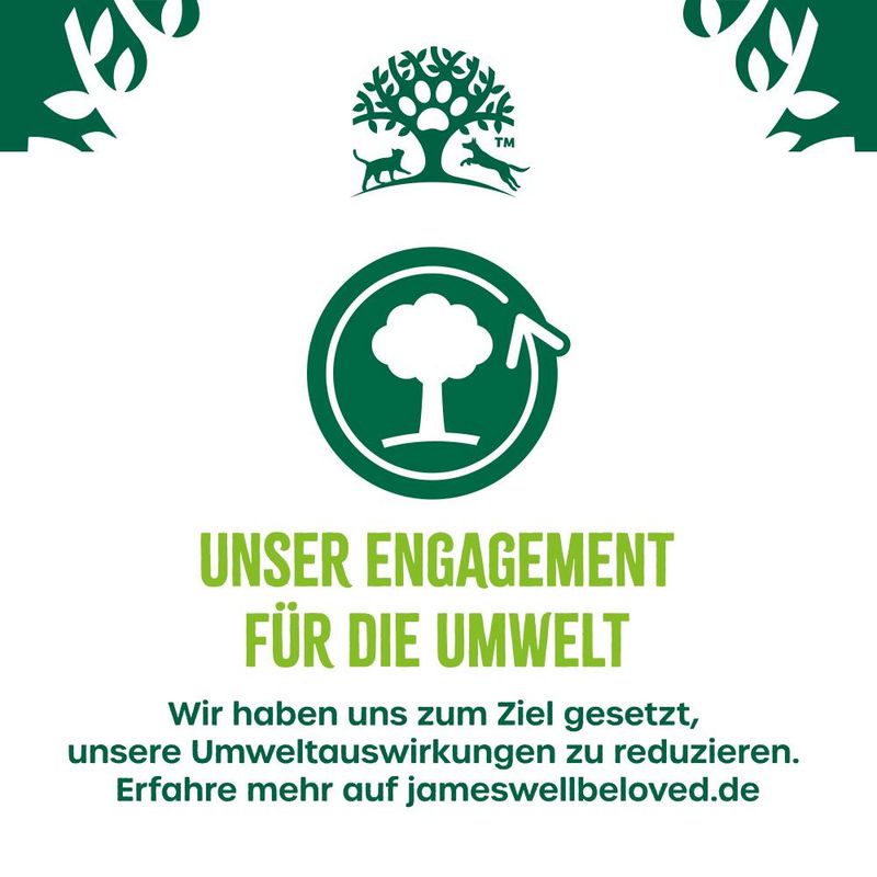 James Wellbeloved Adult Dog Hypoallergenic Turkey with Vegetables in Gravy 12 x 90g