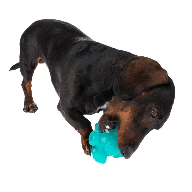 TIAKI Dog Toy Treat Ball Meteorite Size S: Ø 10 cm