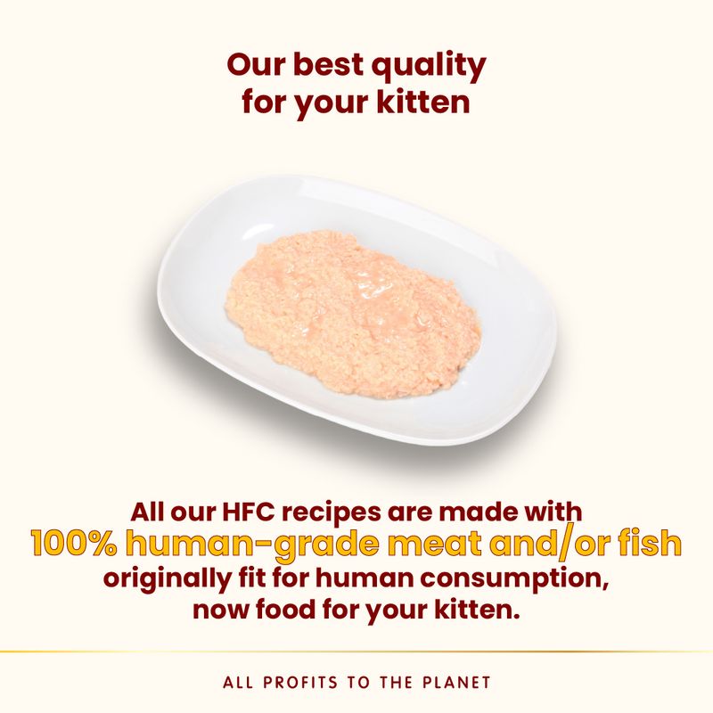 Almo Nature HFC Natural Cans Saver Pack 24 x 70g Atlantic Tuna