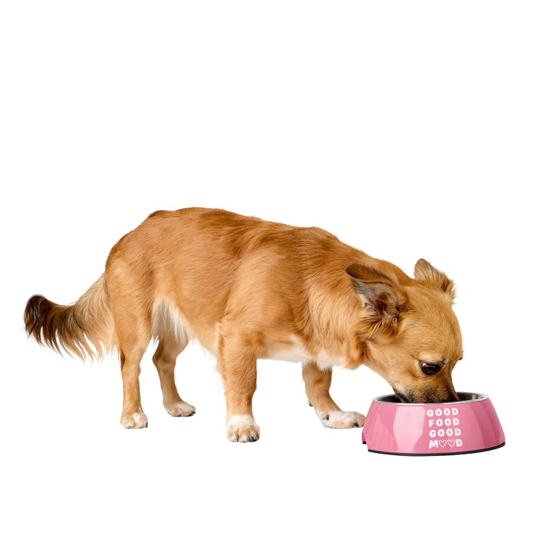 HUNTER Set: Melamine Bowl with Bowl Liner Chester Melamine Bowl & Bowl Mat