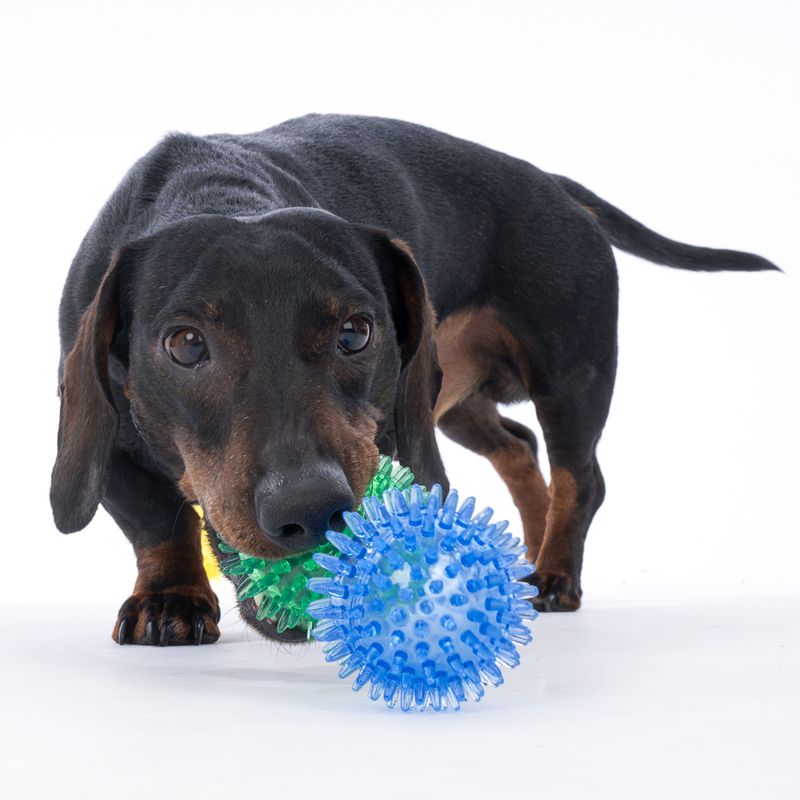 zooplus Basics Spiky Ball Set Set of 3