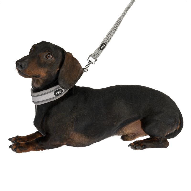 TIAKI Collar Soft & Safe, grey matching leash: 200 cm long, 20 mm wide