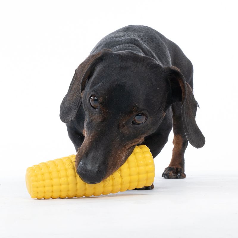 TIAKI Rubber Corn on the Cob Treat Toy approx. diameter 5 x (L) 14.5 cm