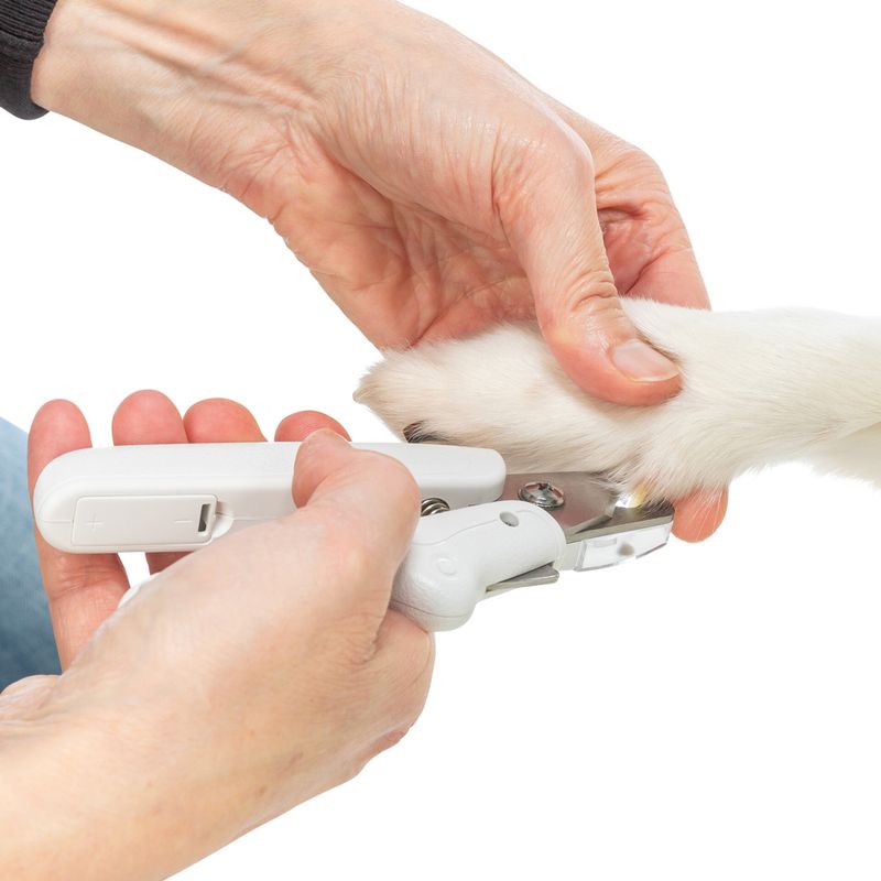 Trixie Claw Scissors with LED Light Size: 15cm