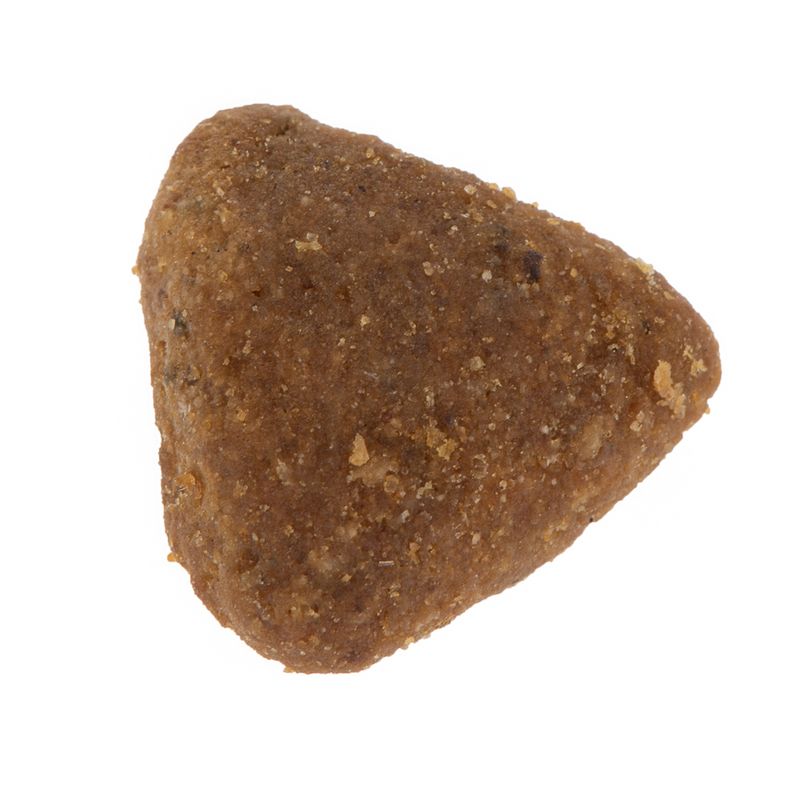 Wolf of Wilderness \