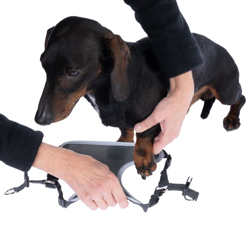 TIAKI Grey Harness Size XS: approx. 38 - 54 cm Chest Circumference