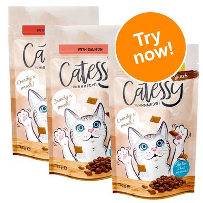 Catessy Crunchy Snacks Mixed Trial Pack 3 x 65g 3 Varieties
