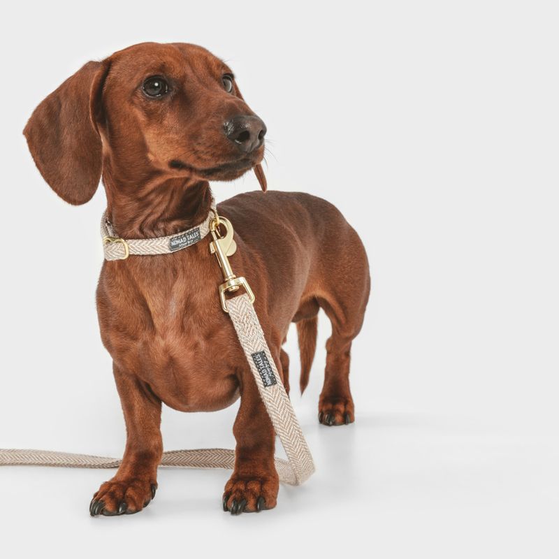 Nomad Tales Calma dog leash, sand 120 cm long, 15 mm wide