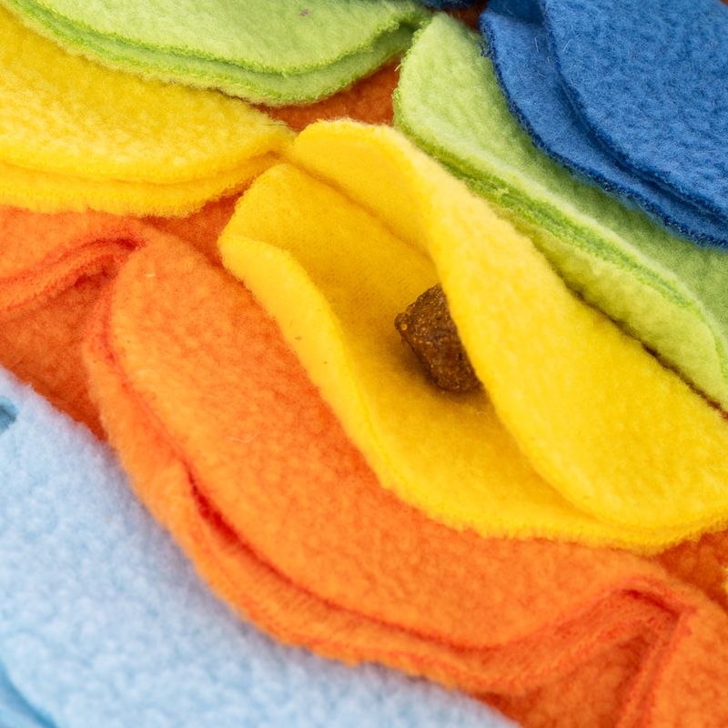 TIAKI Rainbow Fish Sniffing Mat approx. 48 x 25cm (L x W)