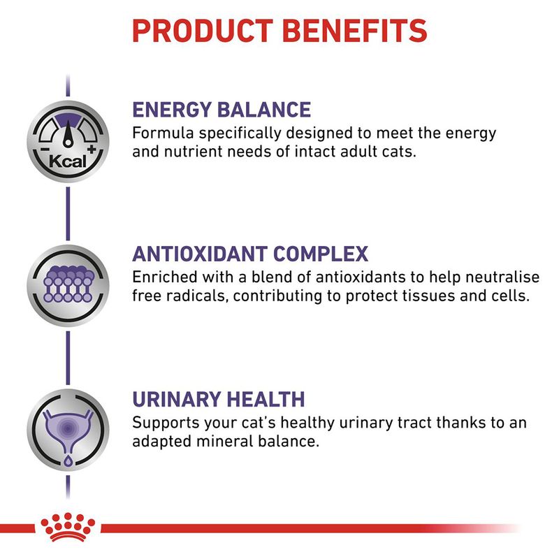 Royal Canin Expert Feline Adult 8kg