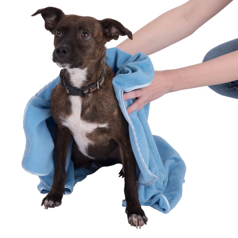 TIAKI Quick-Dry Microfibre Towel Blue: 100 x 70 cm (L x W)