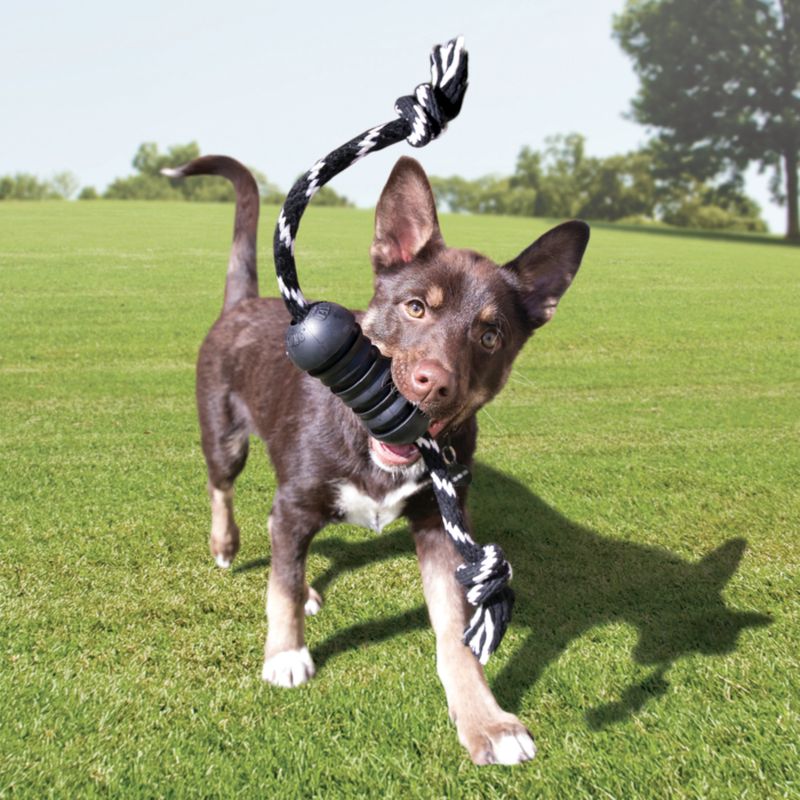 KONG Extreme Dental Dog Toy with Rope Size M: approx. 46 x 5cm (L x diameter)