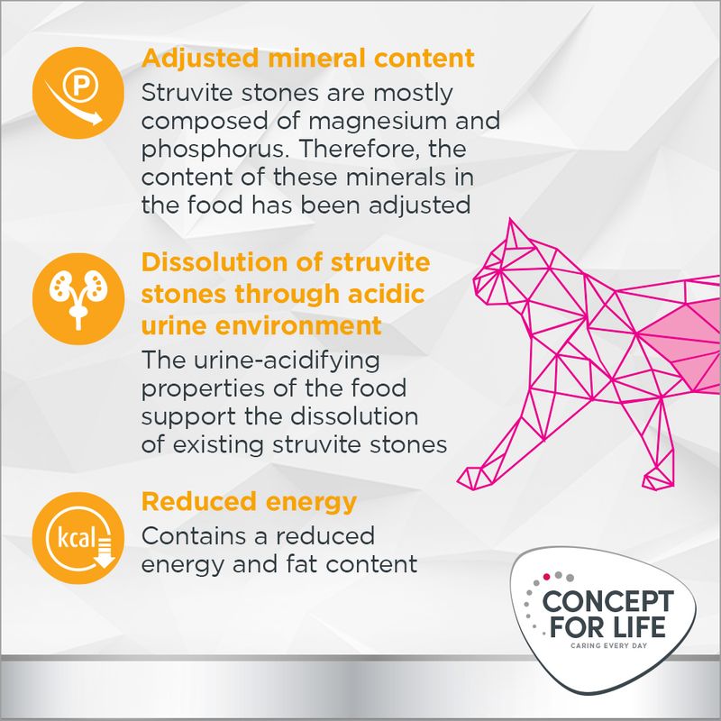 Concept for Life Veterinary Diet Urinary Moderate Calorie Chicken 6 x 200g