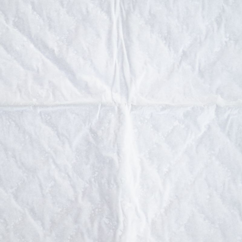 zooplus Basics Training Pads for Puppies 48 x 48 cm (L x W), 50 Pads