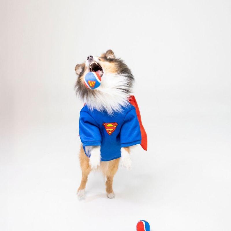 Warner Bros™ DC Superman Tennis Ball Set Set of 4 (each diameter 6.3cm)