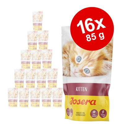 Josera Paté Kitten 16 x 85 g Poultry