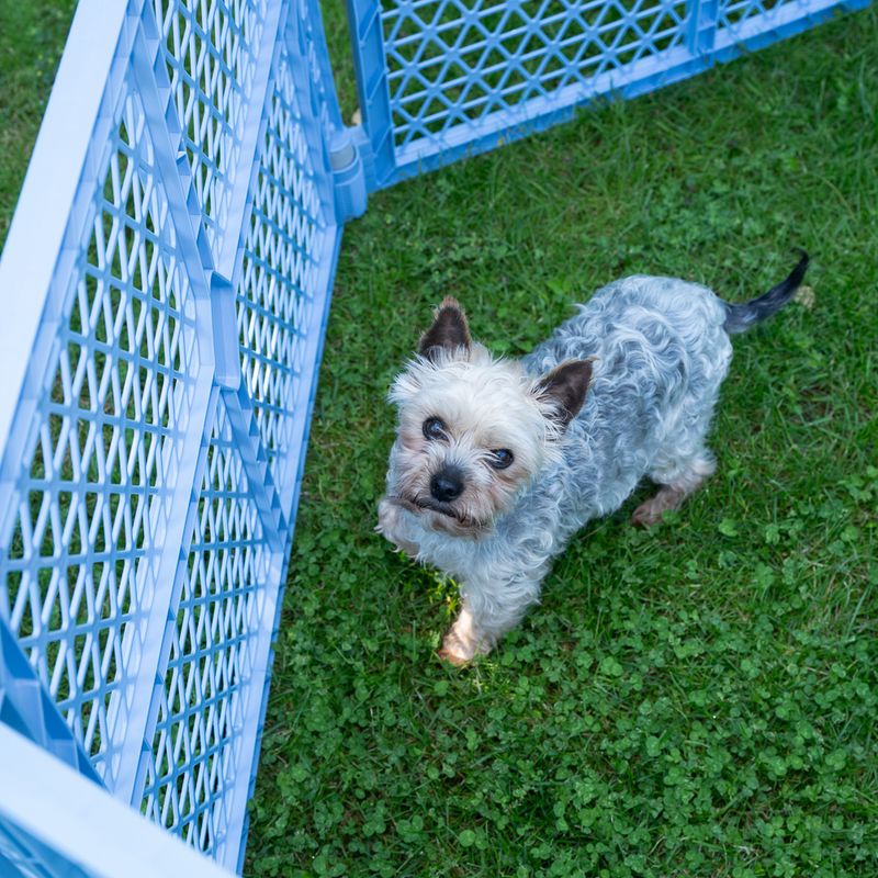 TIAKI 6-Panel Plastic Playpen 150 x 170 x 66 cm (L x W x H)