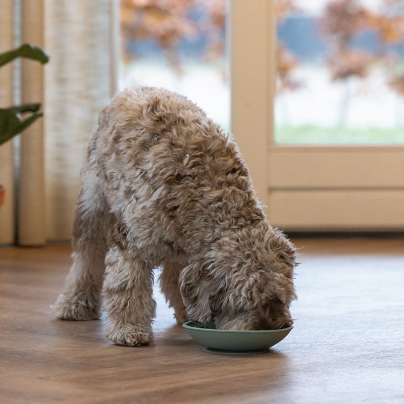 beeztees Silicone Lick Mat Light Blue: 19 x 19 x 4.5 cm (L x W x H)