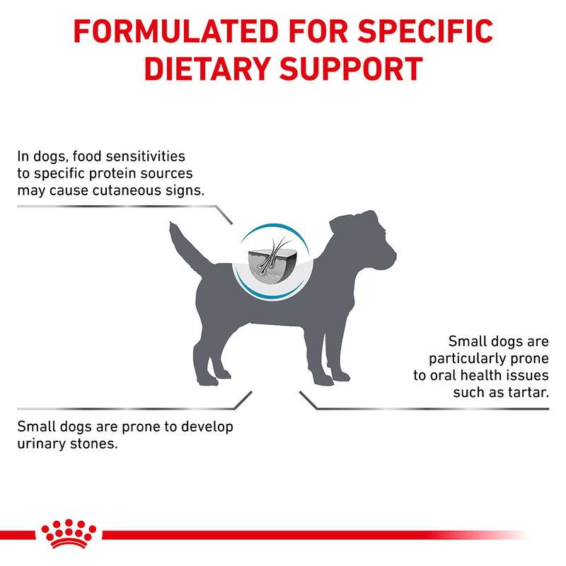 Royal Canin Veterinary Canine Hypoallergenic Small Dog 3.5kg