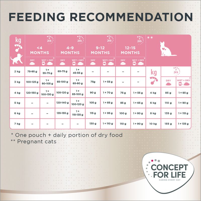 Concept for Life Maine Coon Kitten 400g