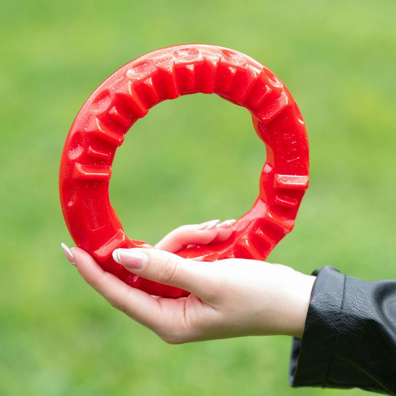 Ferplast Smile chewing ring, red Size S: diameter 12 x H 2.4 cm