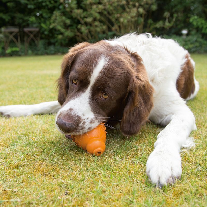 Beeztees Dog Toy Sumo Play Dental Size L: 10 x 15cm (W x H)