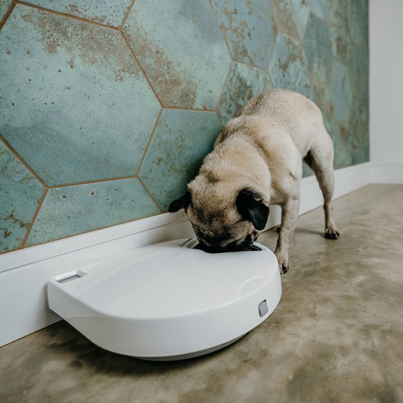 Cat Mate C500 Automatic Feeder 5-Meal Feeder