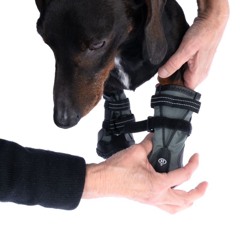 Nomad Tales Spirit Dog Shoes Size S