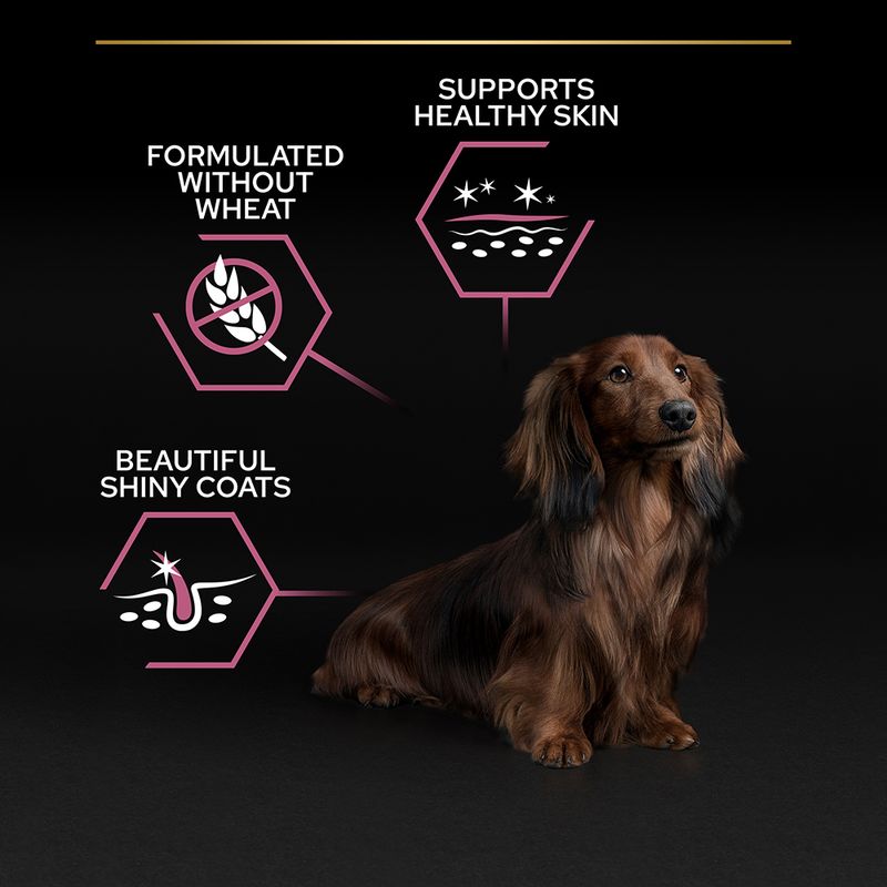 PURINA PRO PLAN Small & Mini Adult Sensitive Skin 3kg