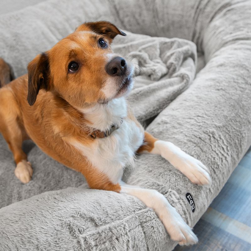 TIAKI XL comfort dog bed 173 x 90 x 30 cm (L x W x H)