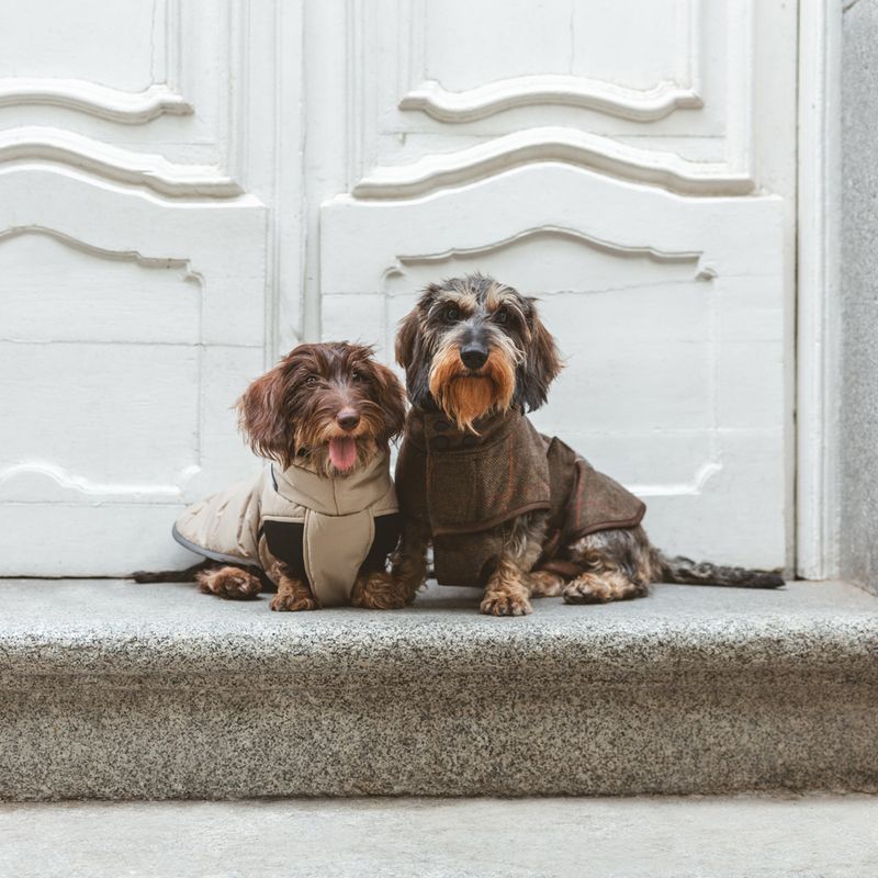 Nomad Tales Bloom Tartan Dog Coat Back length: approx. 35cm