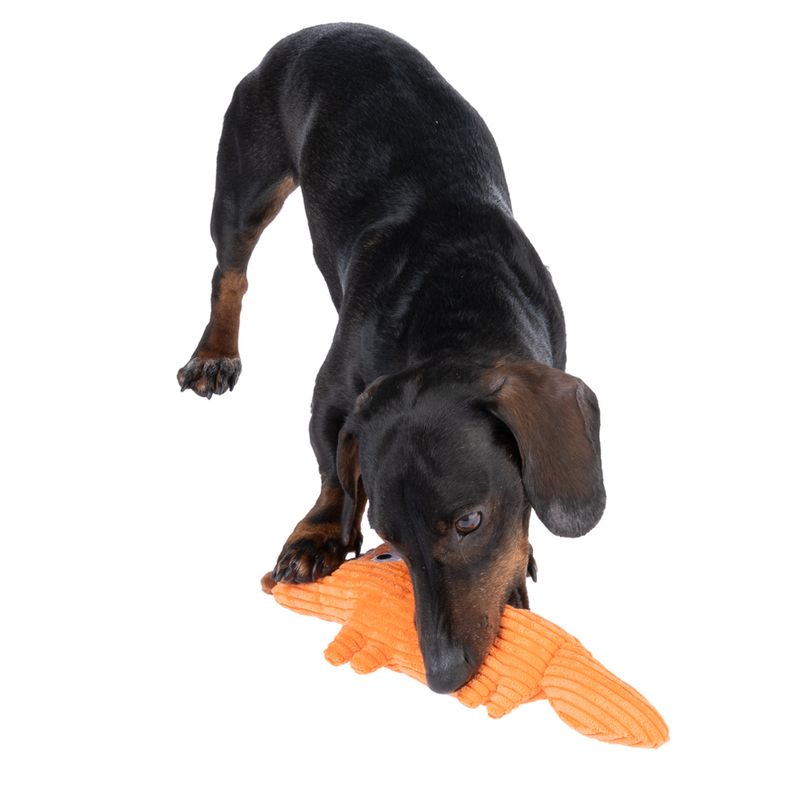 TIAKI James Corduroy Dog Toy 31 x 14.5 x 5cm (L x W x H)