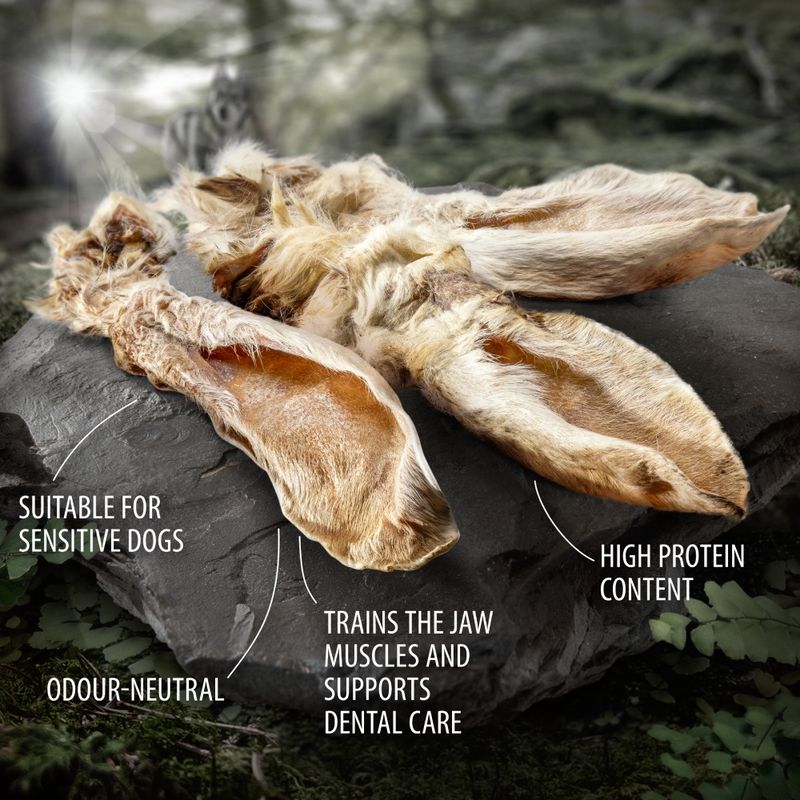 Wolf of Wilderness Dried Rabbit Ears with Fur 200g (approx. 10 pcs)