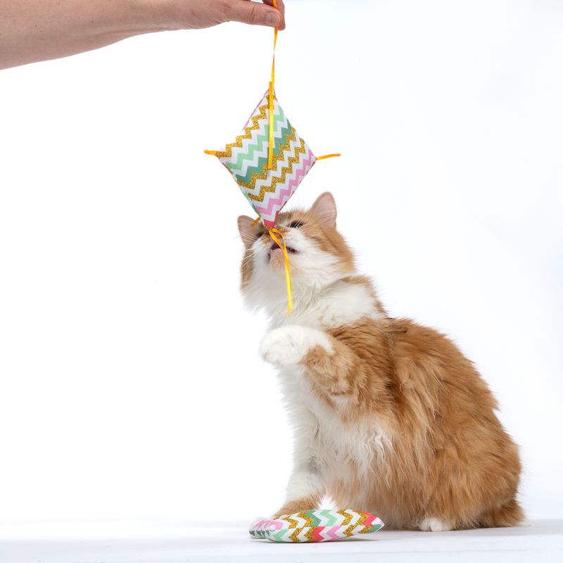 TIAKI Zig Zag Catnip Cushion Set of 2