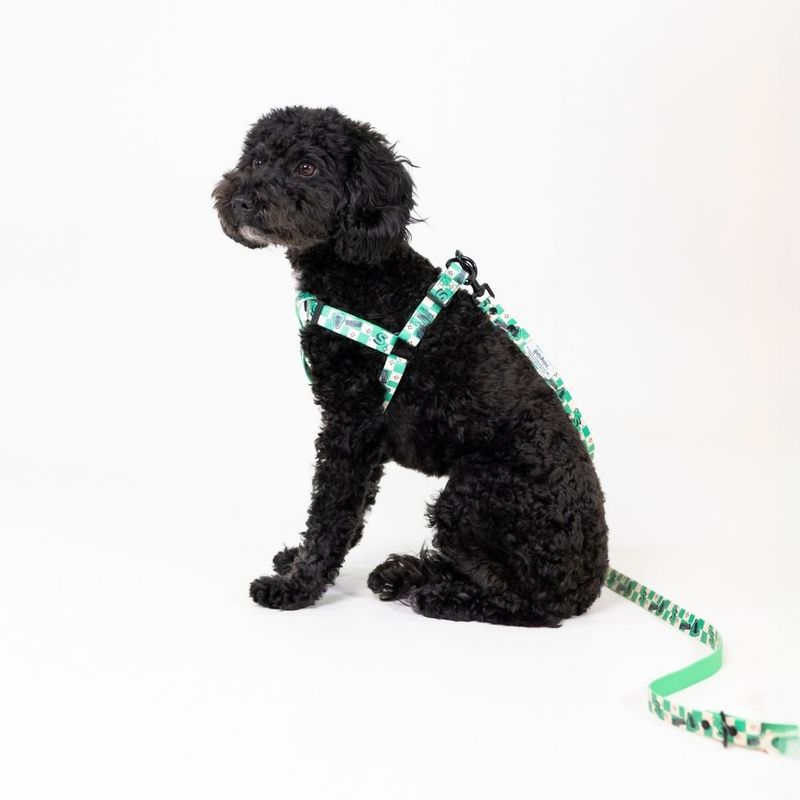 Harry Potter Slytherin Harness - Green Size S: Chest Circumference 39 - 51 cm
