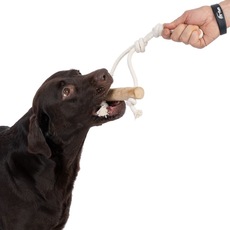 Modern Living Strasbourg Coffee Wood Dog Toy 1 Toy