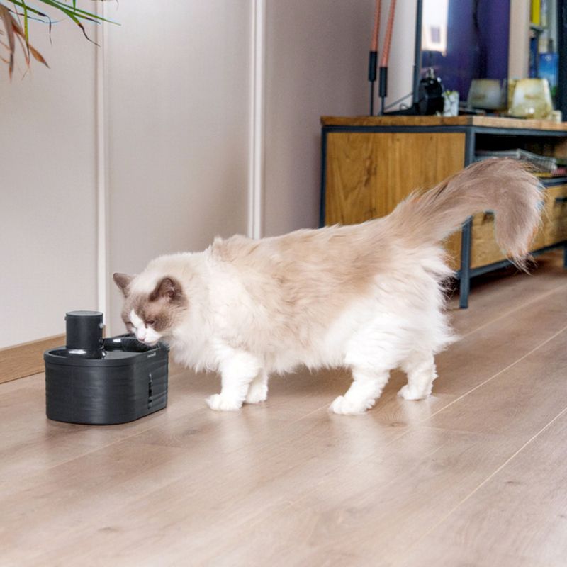 Beeztees Drinking Fountain Sef for Cats Drinking Fountain 2.5 Litres