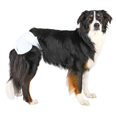Trixie nappies for female dogs Size XS-S: 20-28 cm, 12 pieces
